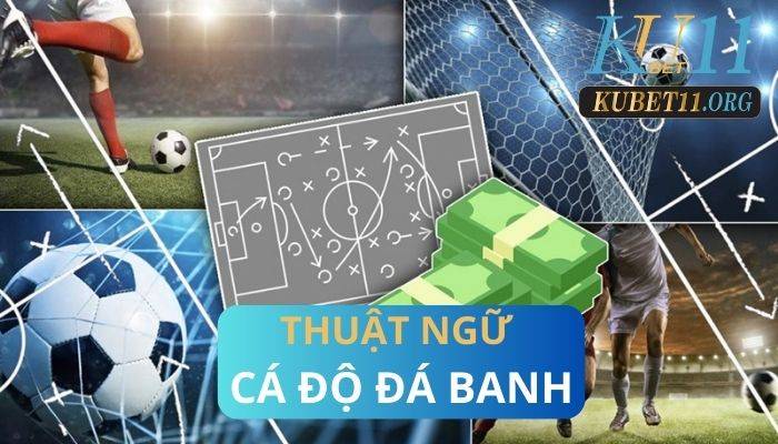 Tất tần tật các thuật ngữ cá độ đá banh mới nhất năm 2023